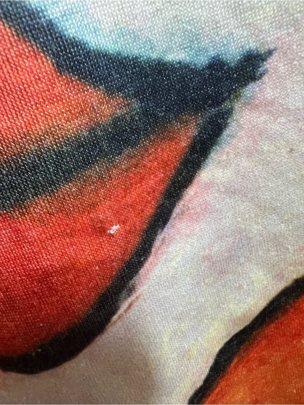 READ description for callout Abstract Portrait Long-Sleeve Top Multicolor - Picture 8 of 8